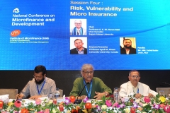 -Risk,-Vulnerability-and-Micro-Insurance(2)