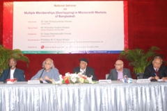 Microcredit Markets of Bangladesh