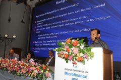 Microfinance and Food Security(10)