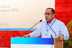 The-Role-of-MFIs18